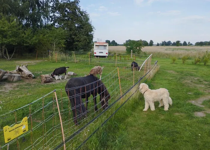 Eriba Troll Aus 1972 * Sandau