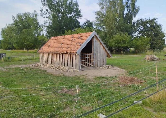 Eriba Troll Aus 1972 Sandau